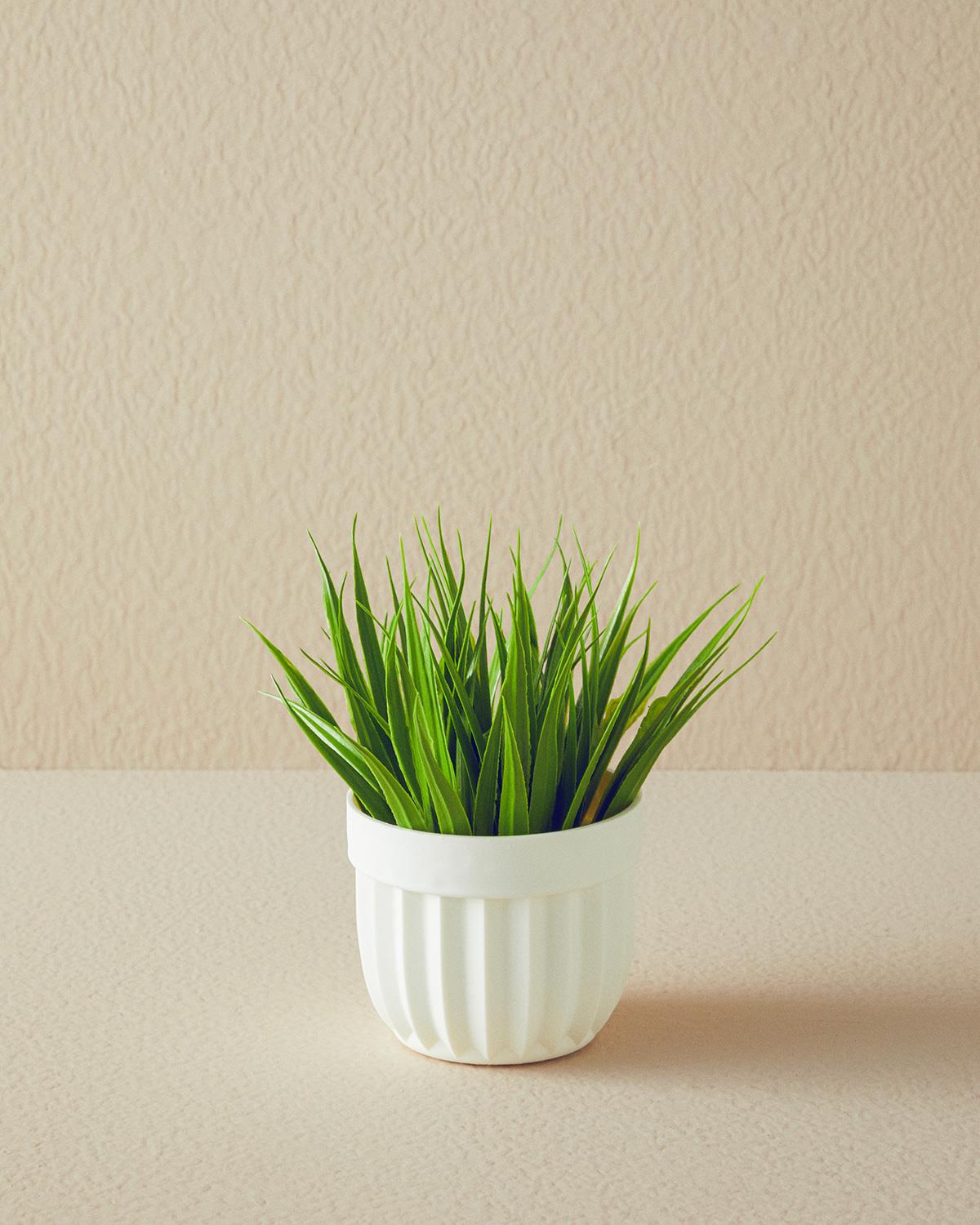 Grass Vazolu Yapay Çiçek Beyaz