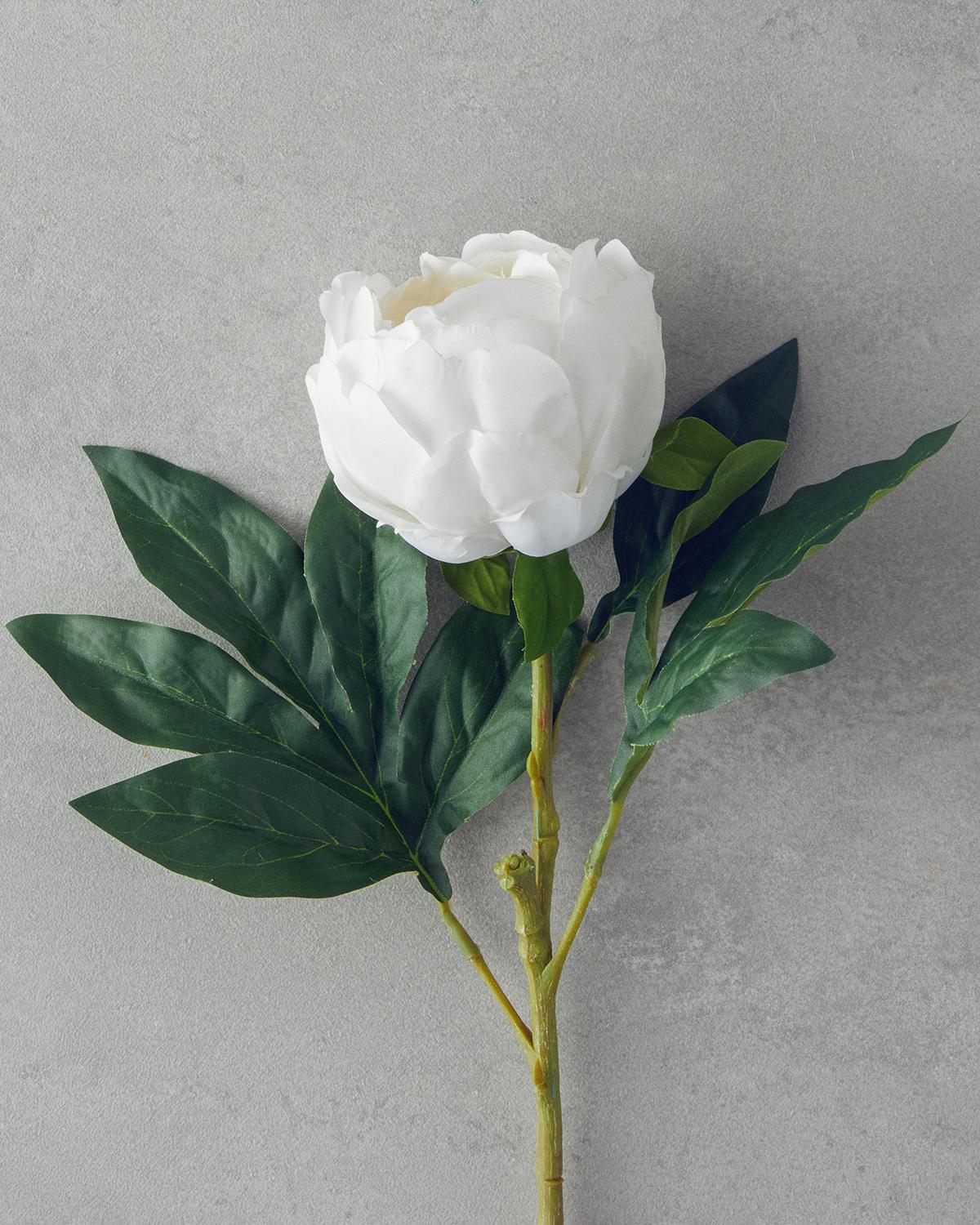 Peony Tek Dal Yapay Çiçek Beyaz