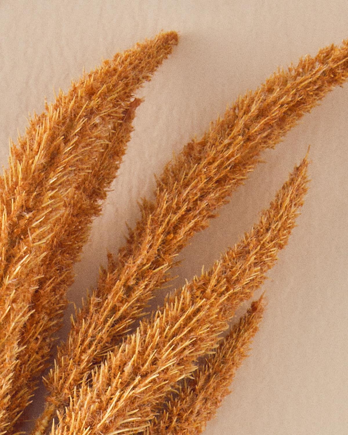 Reed Branch Tek Dal Yapay Çiçek Hardal