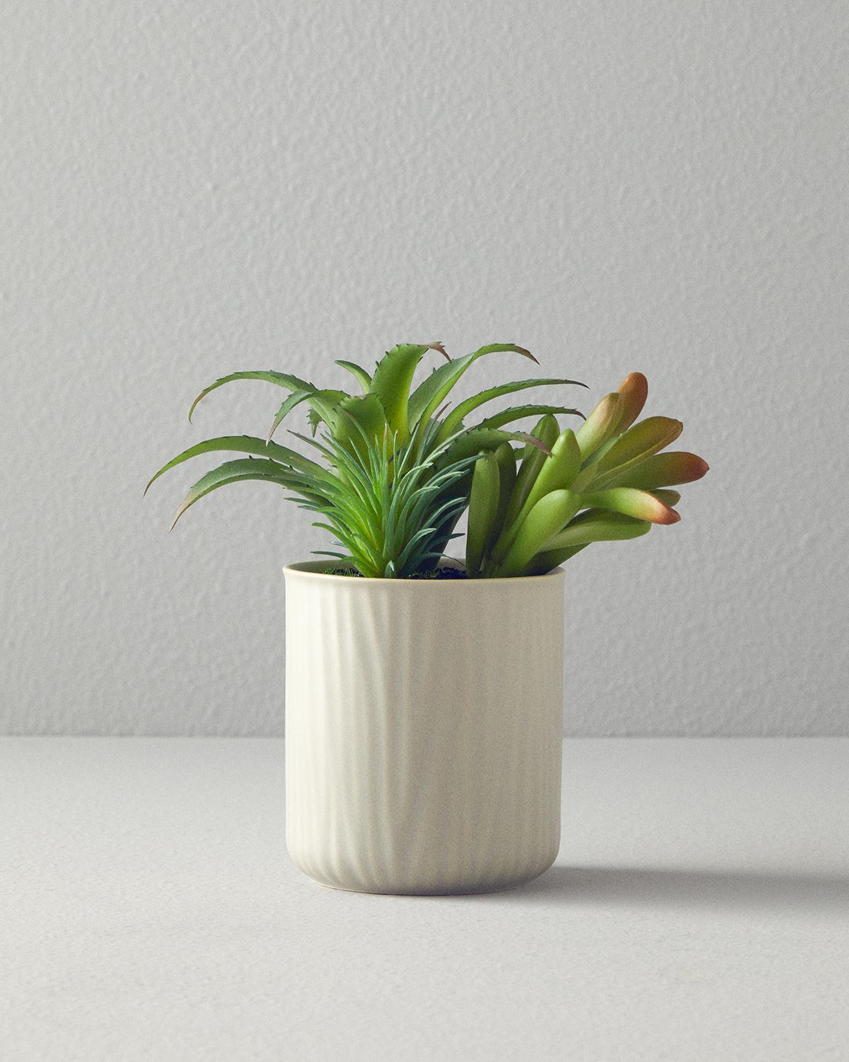 Succulent Vazolu Yapay Çiçek Gri