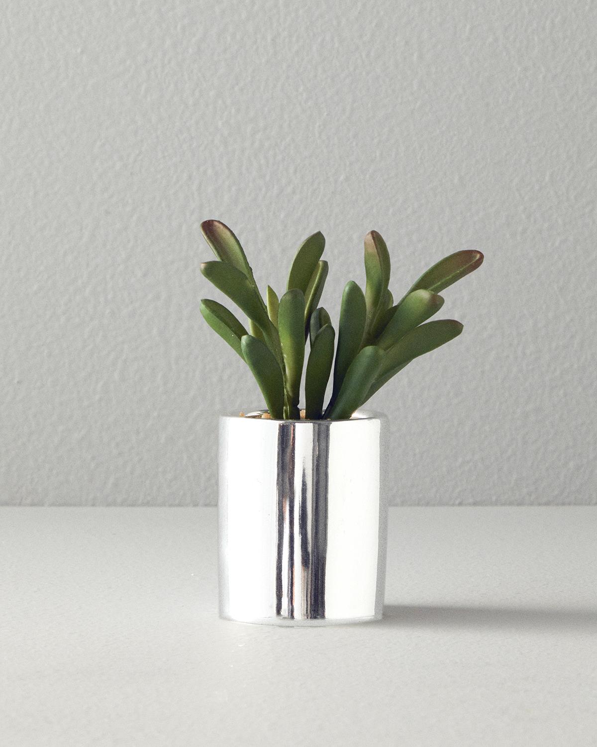 Succulent Vazolu Yapay Çiçek Silver