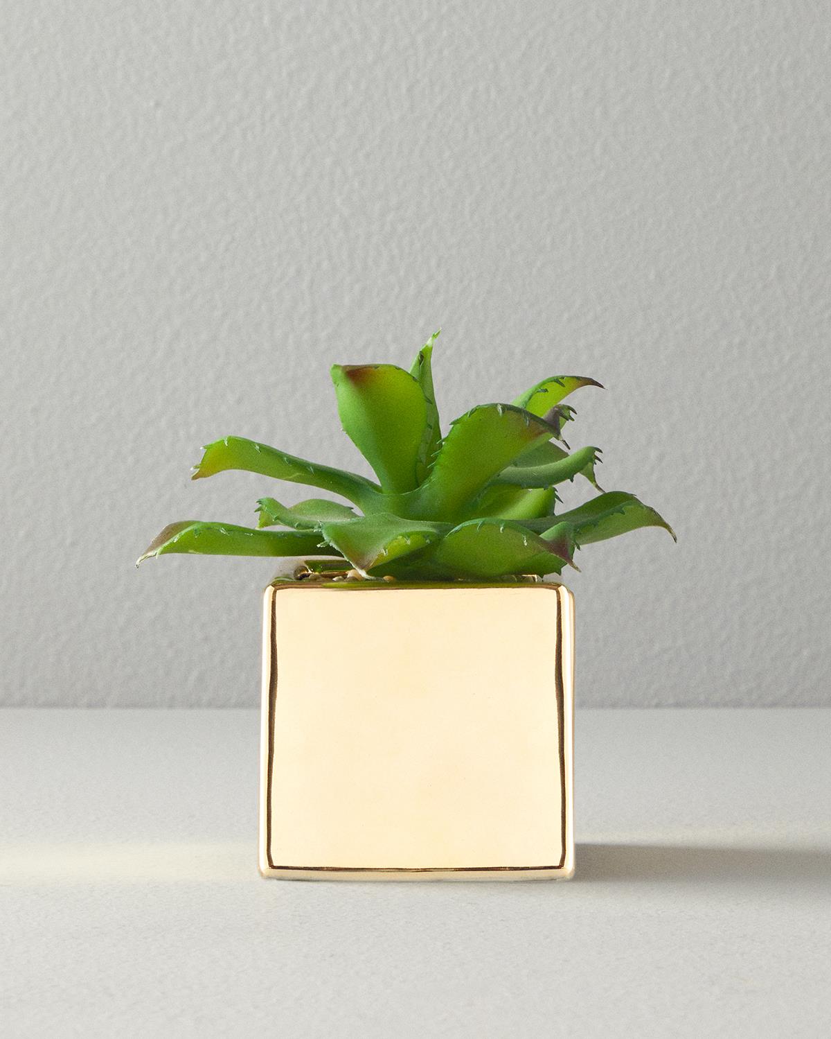 Succulent Vazolu Yapay Çiçek Yeşil