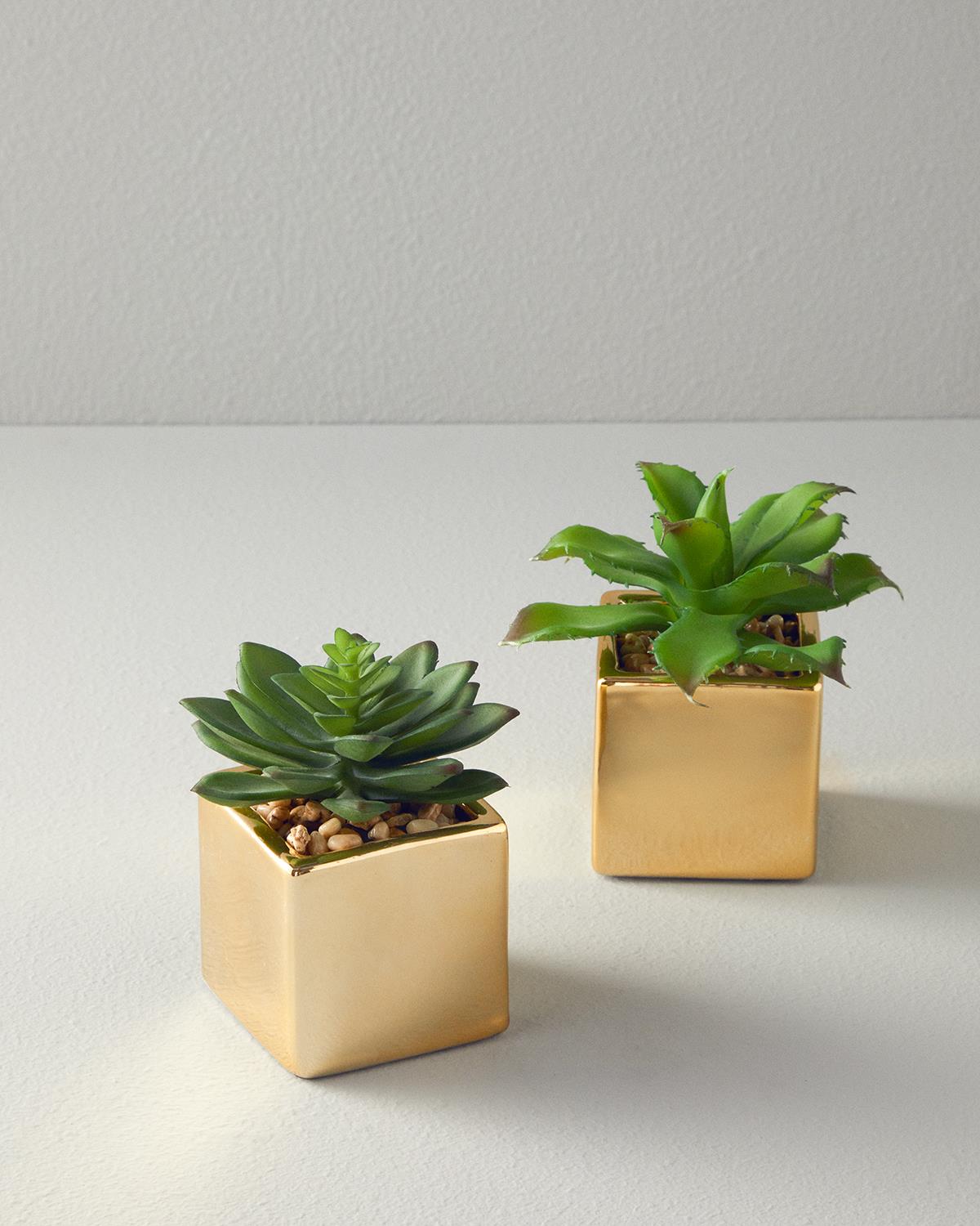 Succulent Vazolu Yapay Çiçek Yeşil