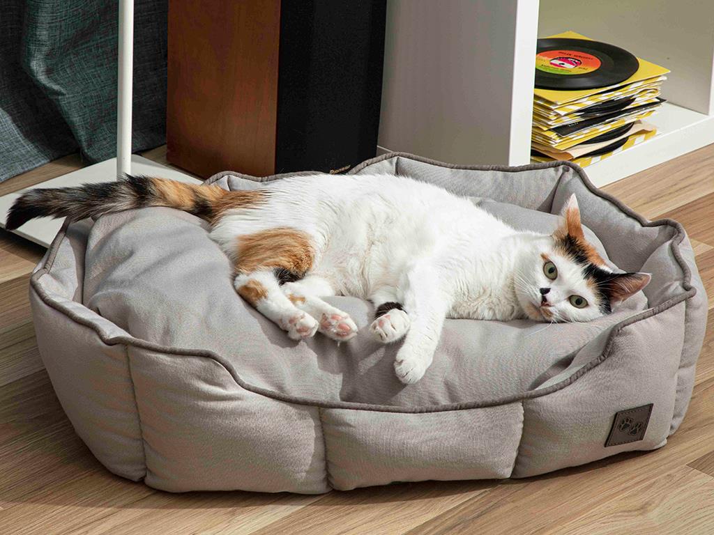 Bonny Köpek Ve Kedi Yatağı Gri
