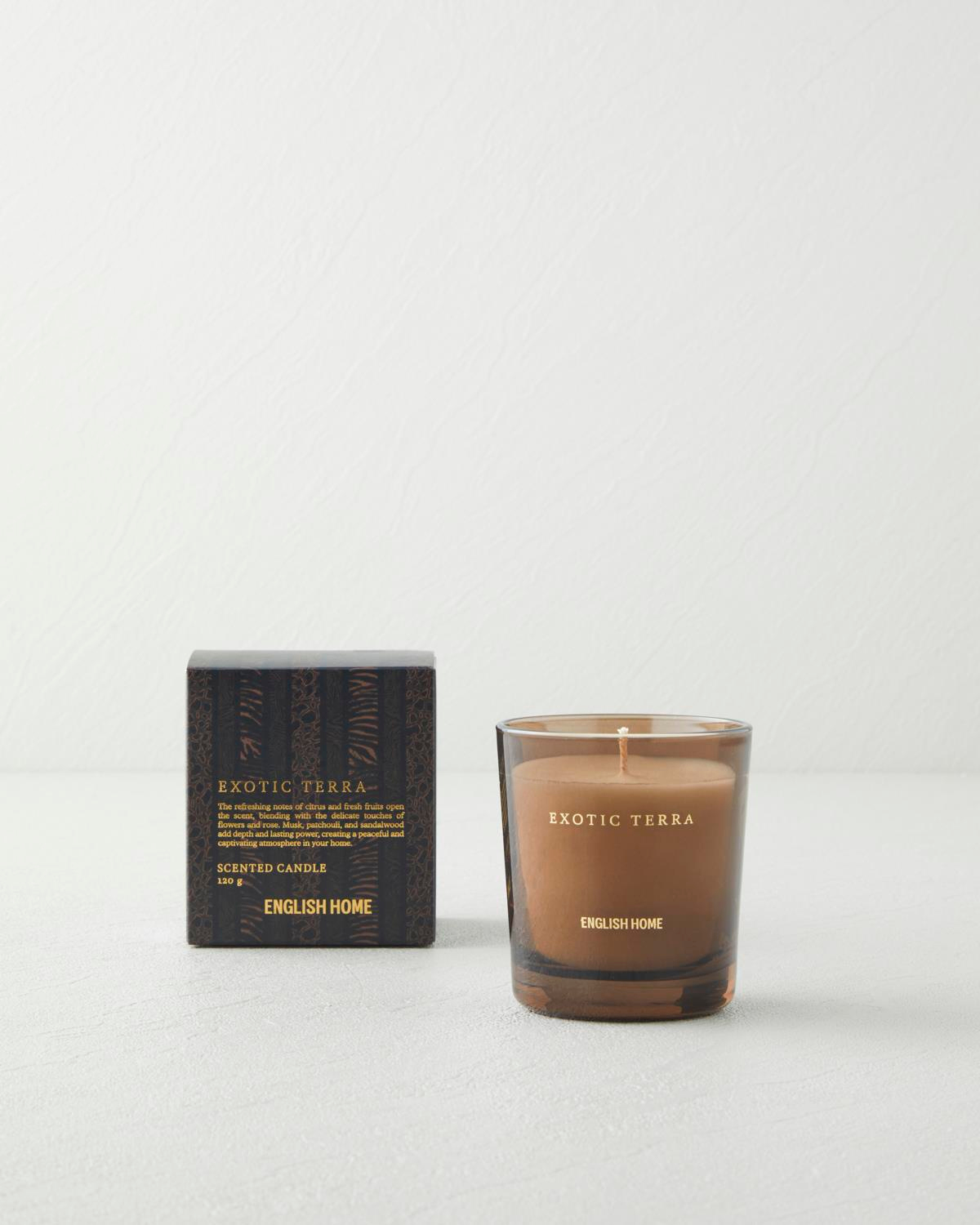 Exotic Terra Kokulu Mum 120 gr Şeffaf