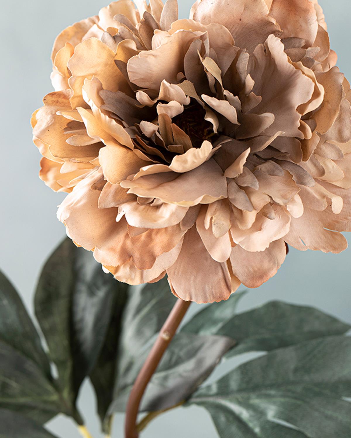 Peony Dream Tek Dal Yapay Çiçek Krem