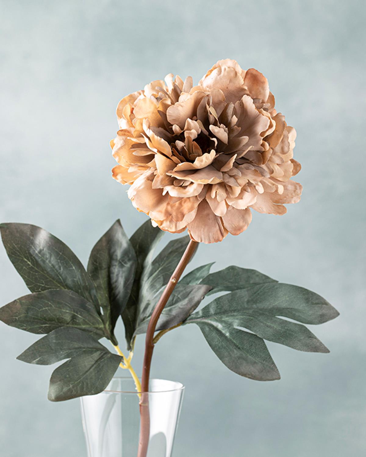 Peony Dream Tek Dal Yapay Çiçek Krem