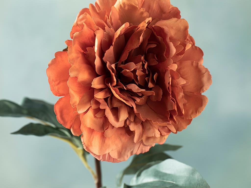 Peony Dream Tek Dal Yapay Çiçek Turuncu