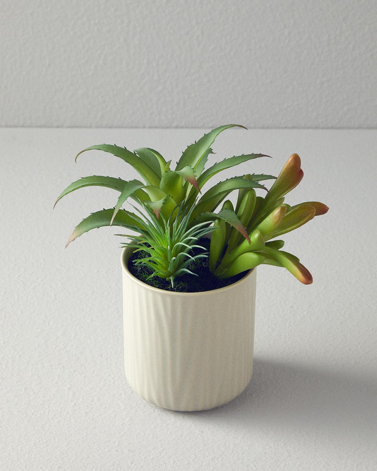 Succulent Vazolu Yapay Çiçek Gri