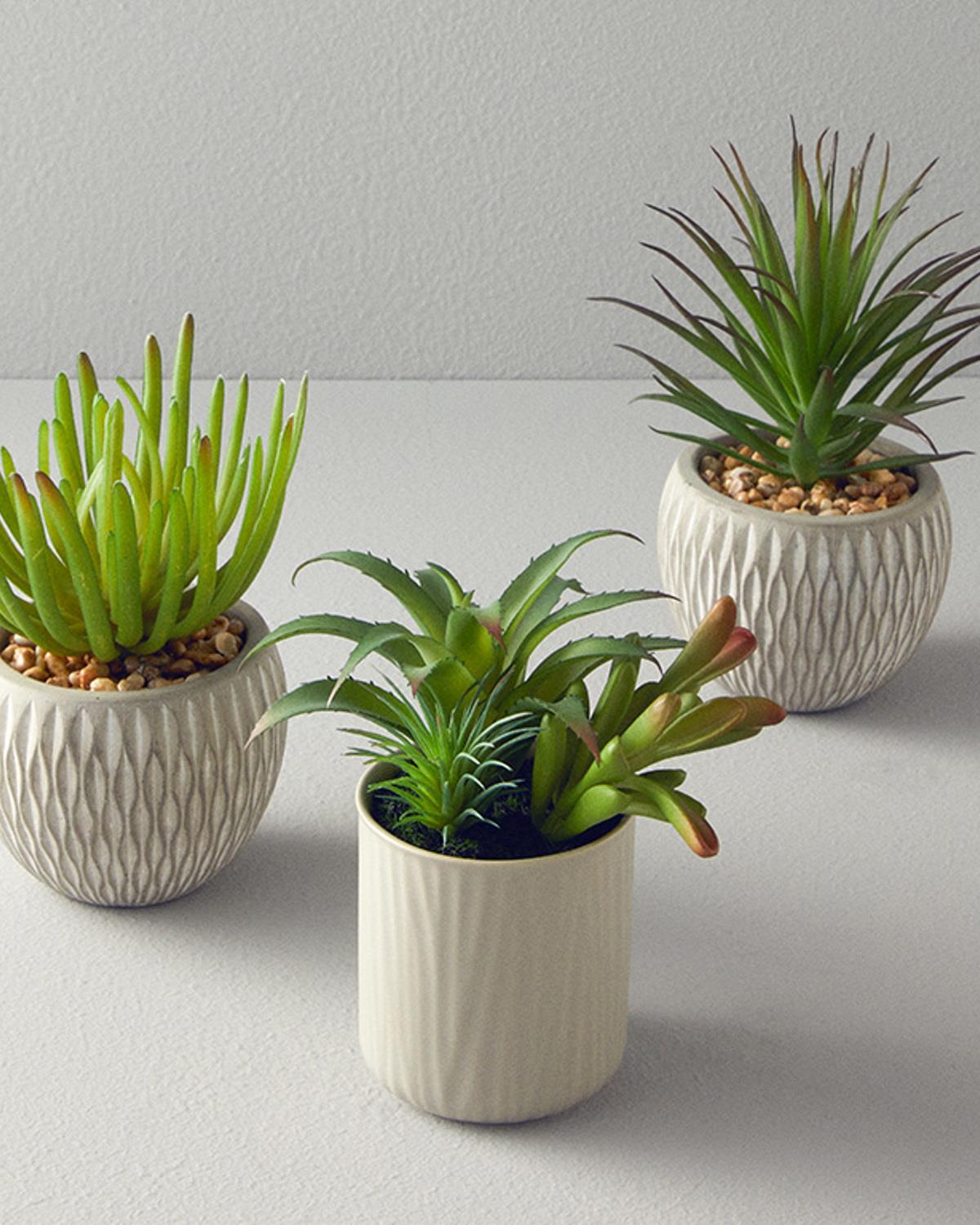 Succulent Vazolu Yapay Çiçek Gri