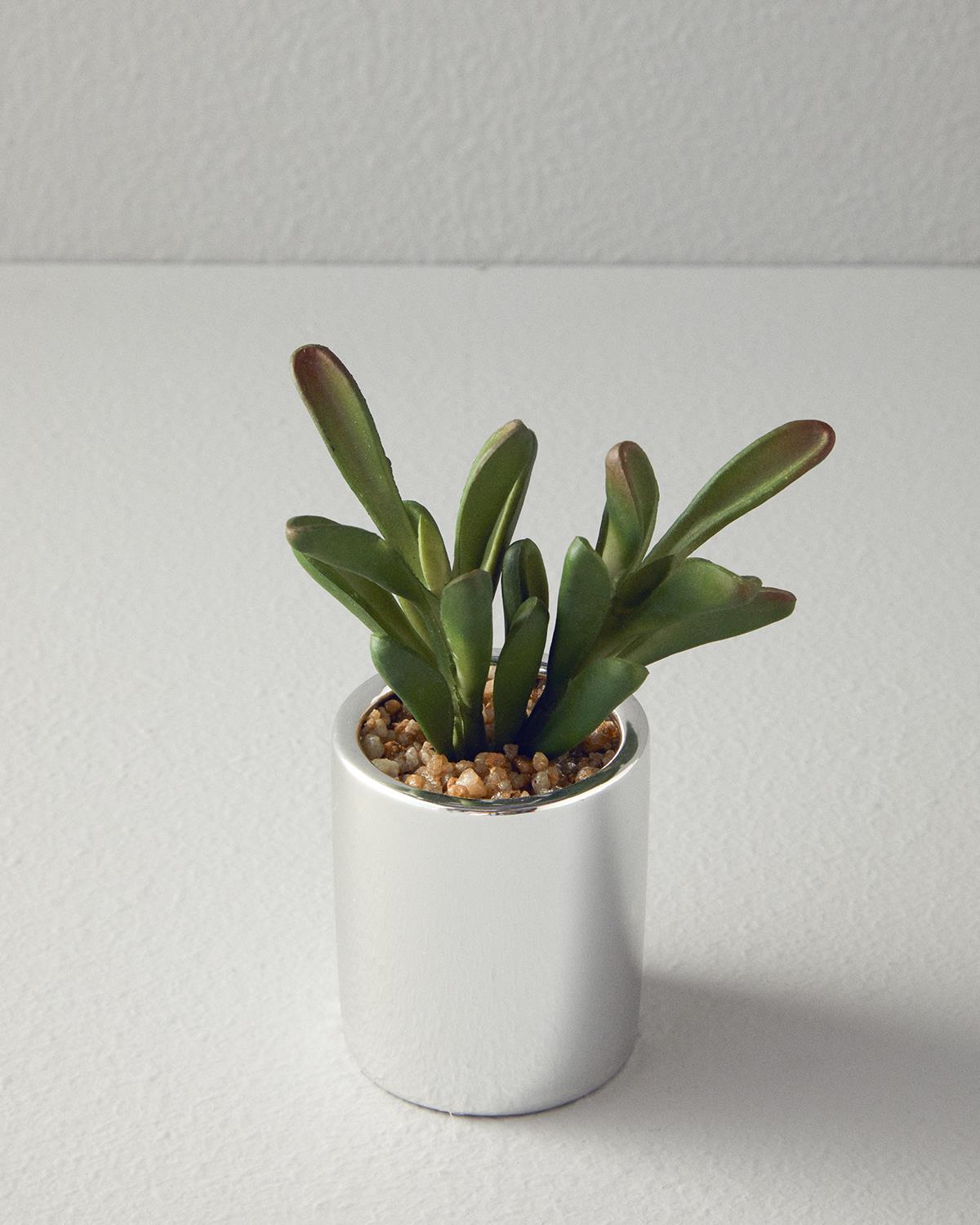 Succulent Vazolu Yapay Çiçek Silver