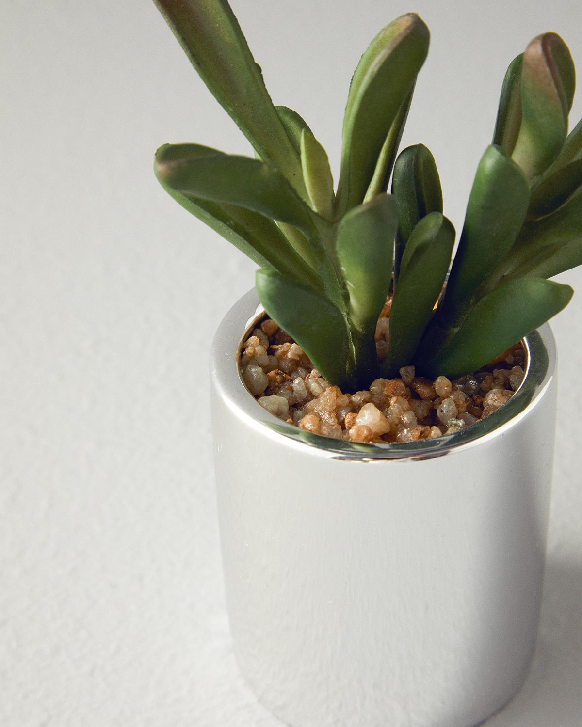 Succulent Vazolu Yapay Çiçek Silver