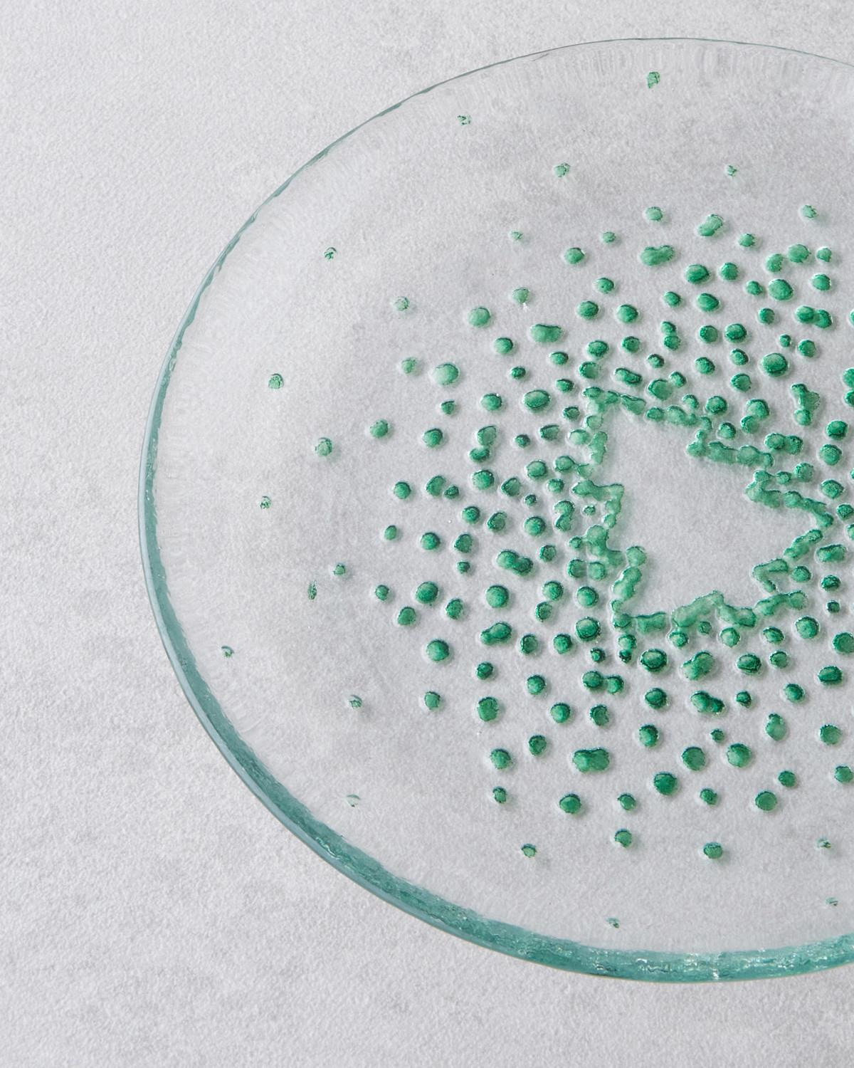 Twinkle Tree Cam Pasta Tabağı 16 cm Yeşil