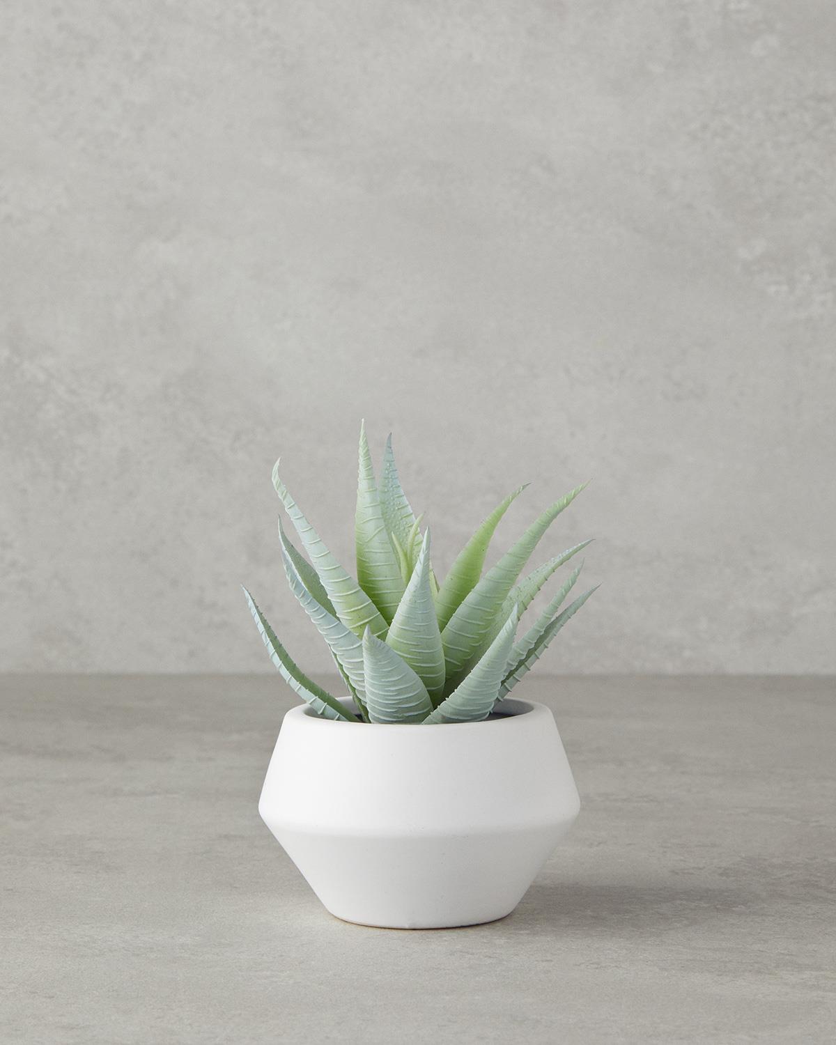 Aloevera Plastik Vazolu Yapay Çiçek Yeşil
