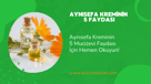 Aynısefa Kremi