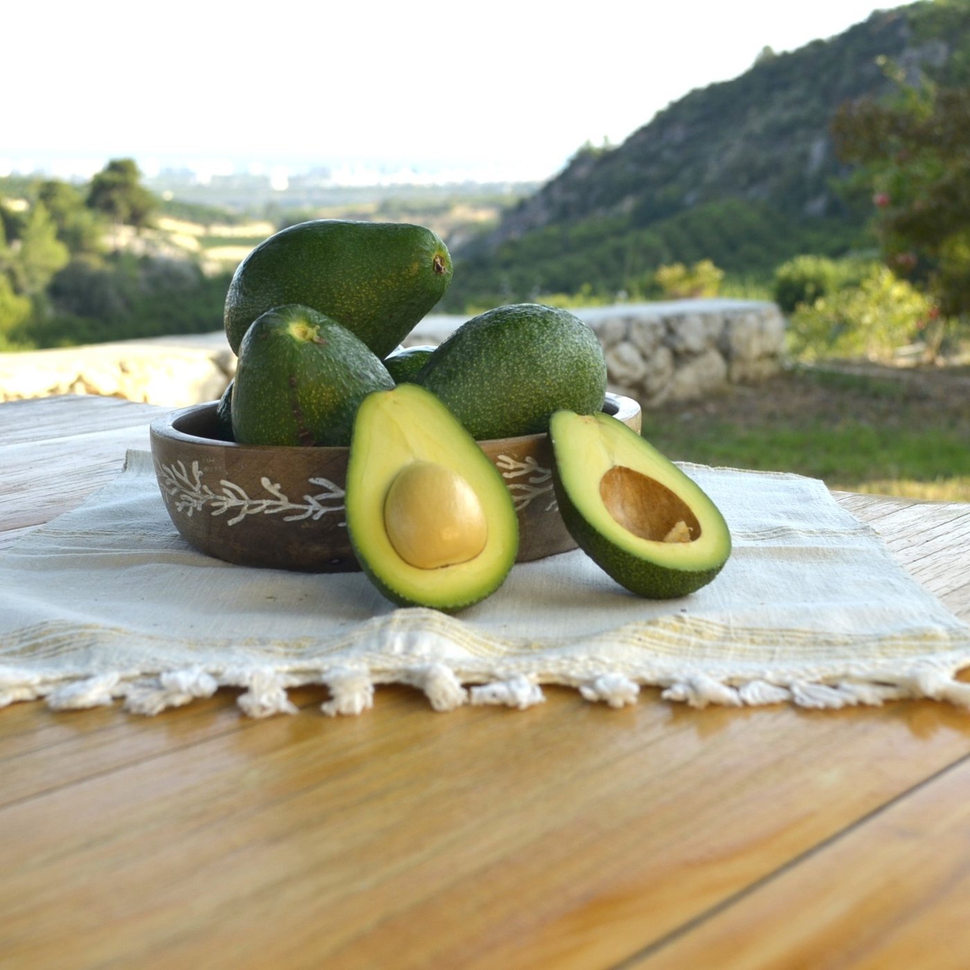 Avokado (Fuerte) - 1 Kg