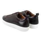 Arthur Kahve Erkek Piton Baskılı Deri Spor Ayakkabı