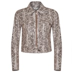 Bej Ninfe Kadın Deri Mont