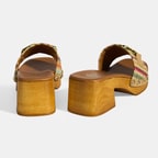 Kadın Çok Renkli Toka Aksesuarlı Topuklu Terlik 