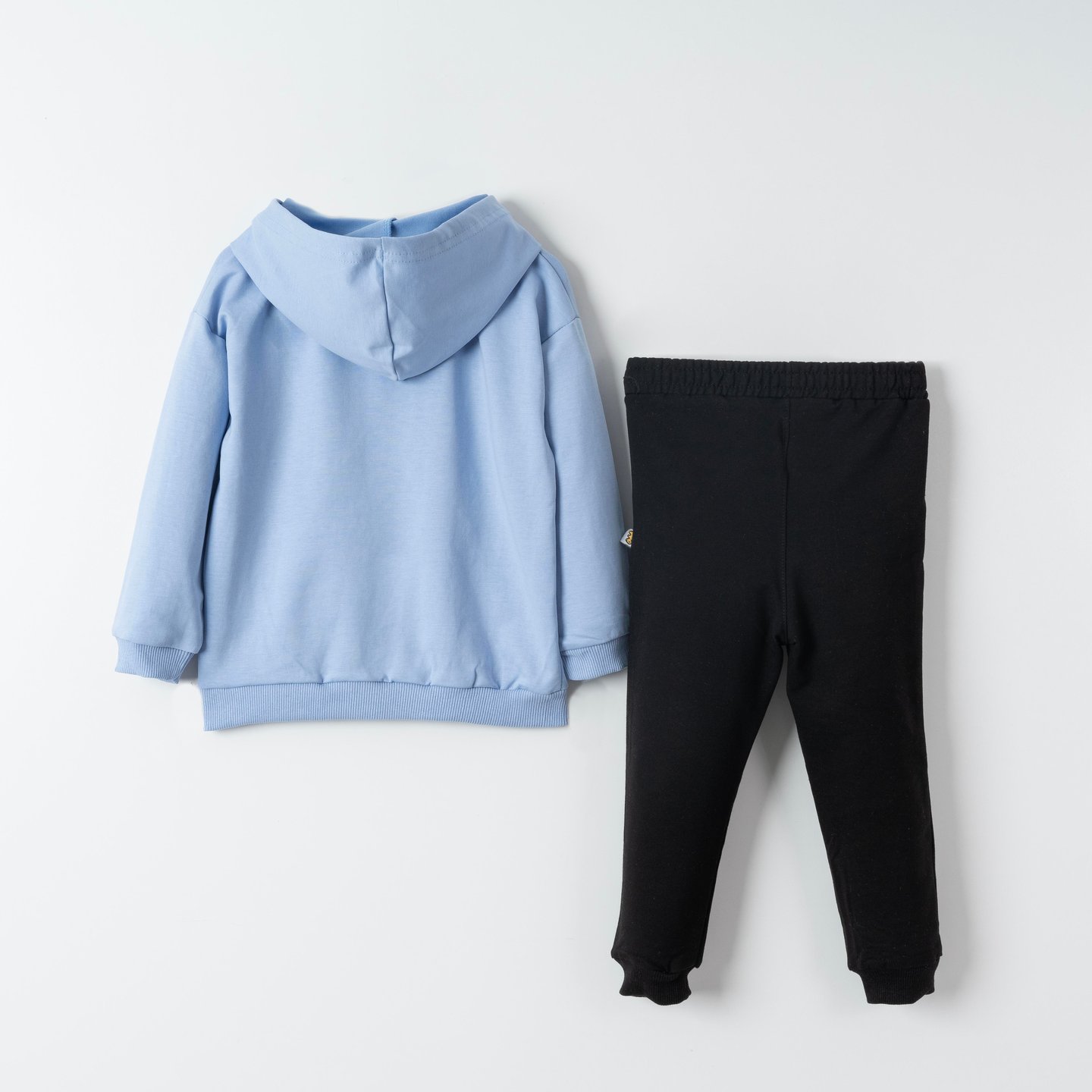 Dino Fam Baskılı Erkek Çocuk Sweatshirt Eşofman Takımı