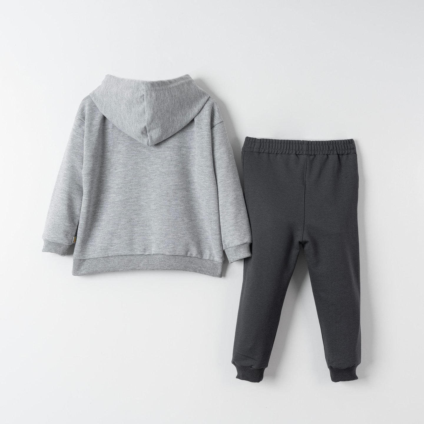 Dino Fam Baskılı Erkek Çocuk Sweatshirt Eşofman Takımı