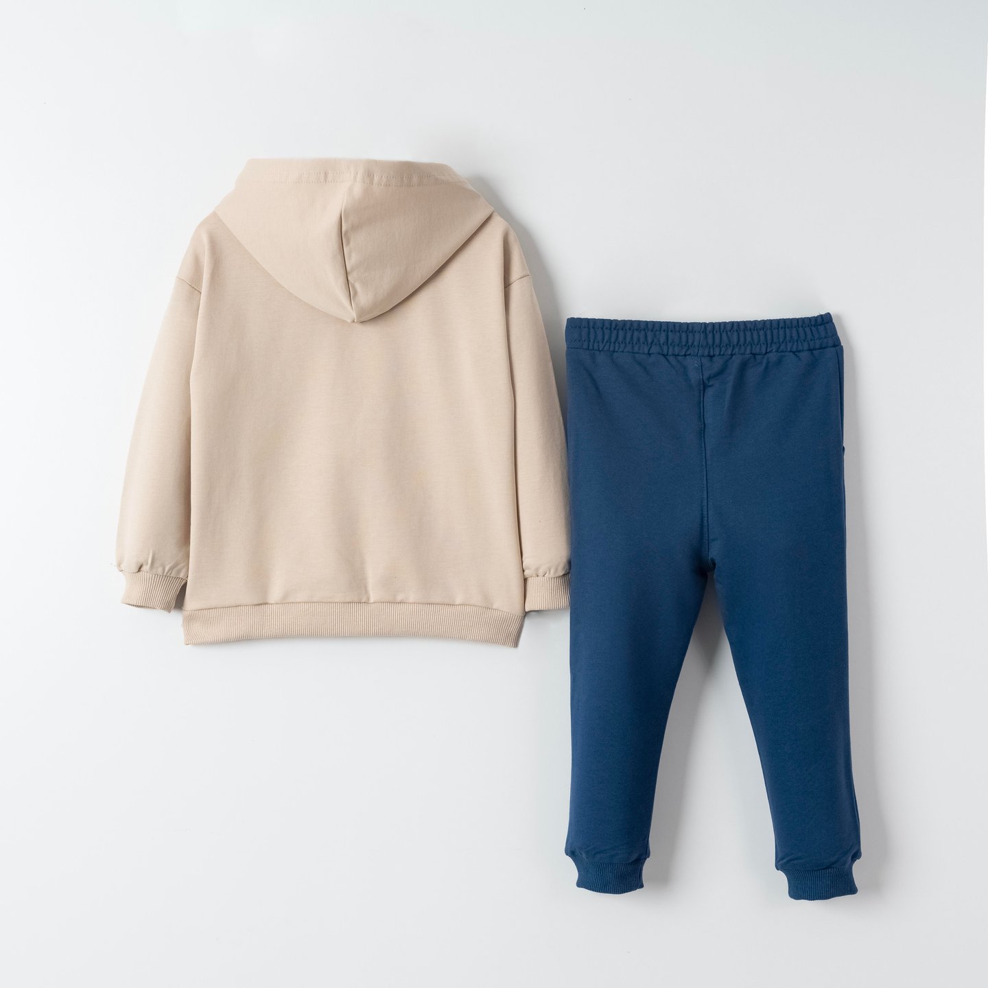 Dino Fam Baskılı Erkek Çocuk Sweatshirt Eşofman Takımı