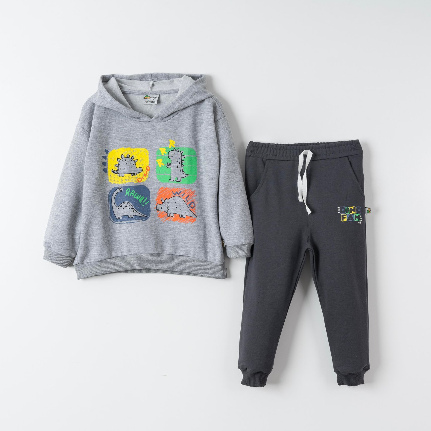 Dino Fam Baskılı Erkek Çocuk Sweatshirt Eşofman Takımı