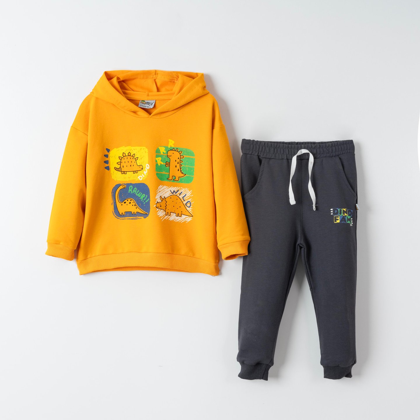 Dino Fam Baskılı Erkek Çocuk Sweatshirt Eşofman Takımı