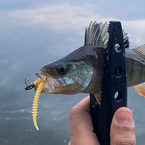 Fujin Bio Worm ile av