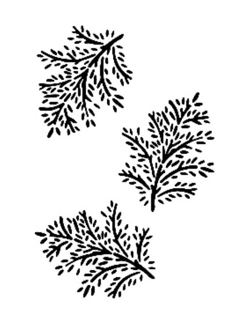 AS404 - استنسل A4