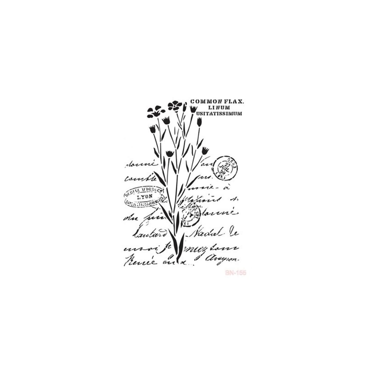 BN155 25x36 Трафарет серии BN