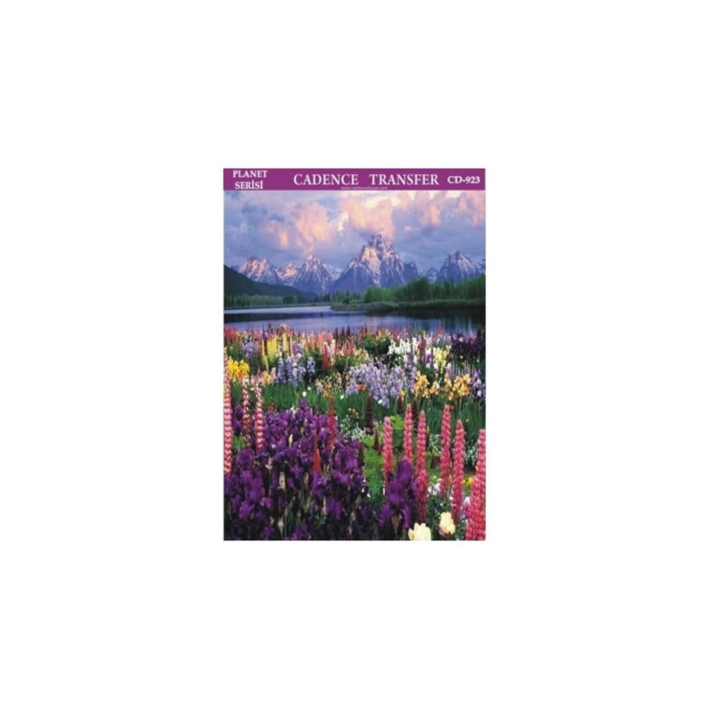 CD923 25x35 Planet Transfer