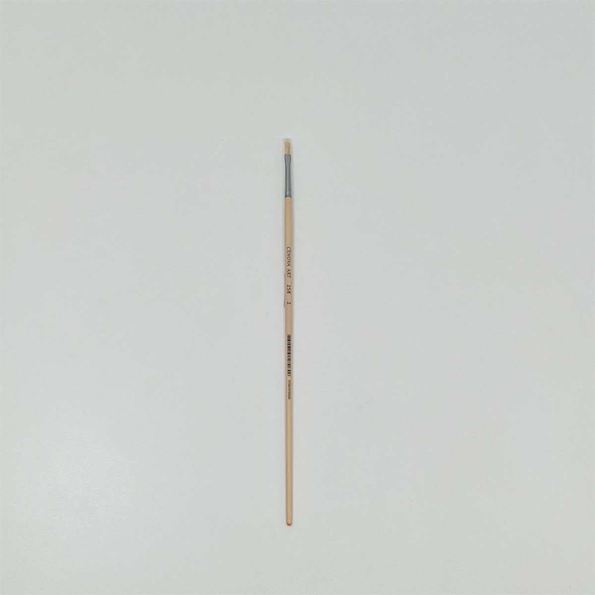 فرشاة جينوفا 258-2 ذات الشعر الخشن 