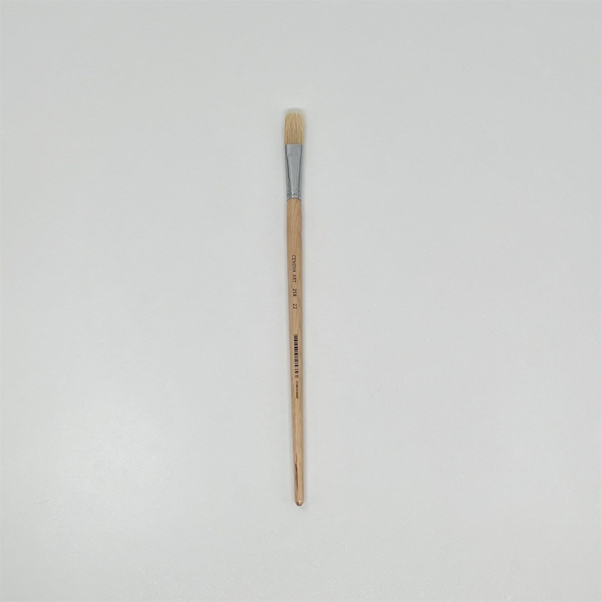 Генуя 258-22 Кисть из щетины 