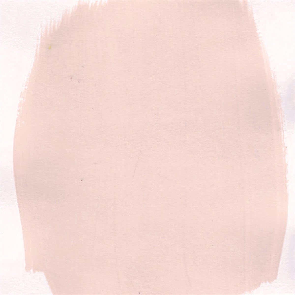 CH50 Oasis Очень меловой 500 мл