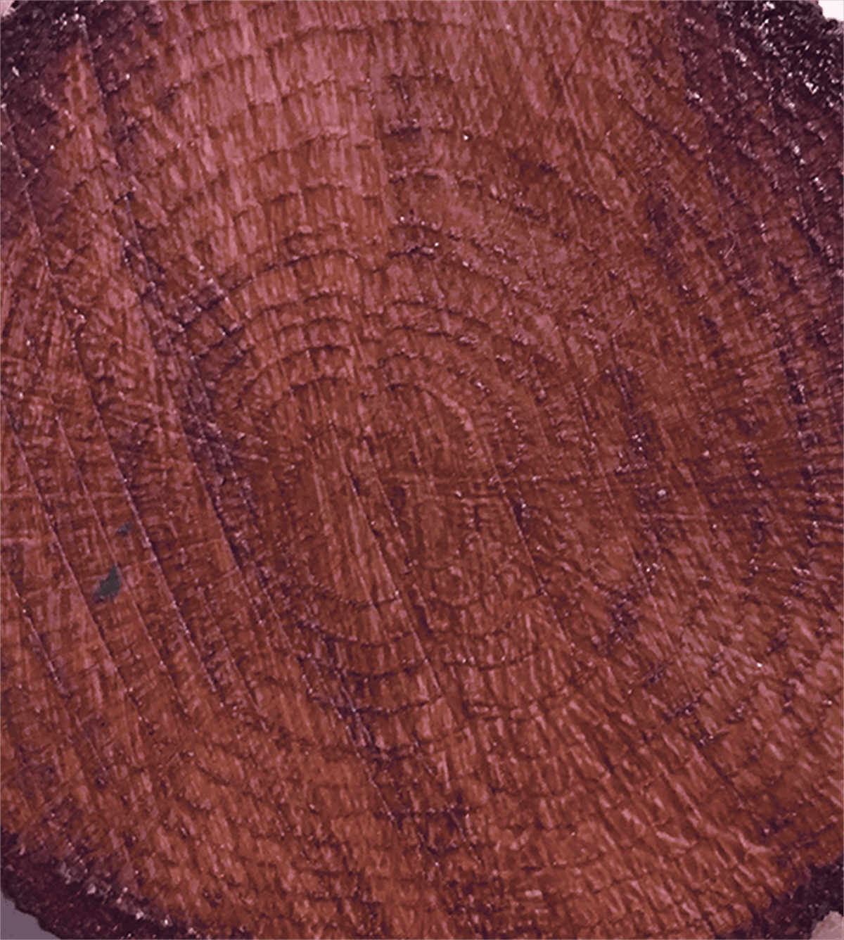 Лак Color On Color Cv-06 Красное дерево 90мл