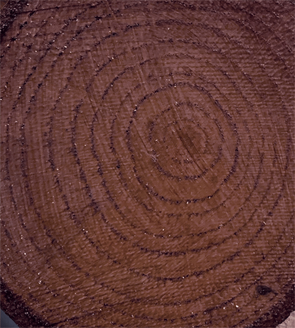 Лак Color On Color Cv-07 Венге 90мл