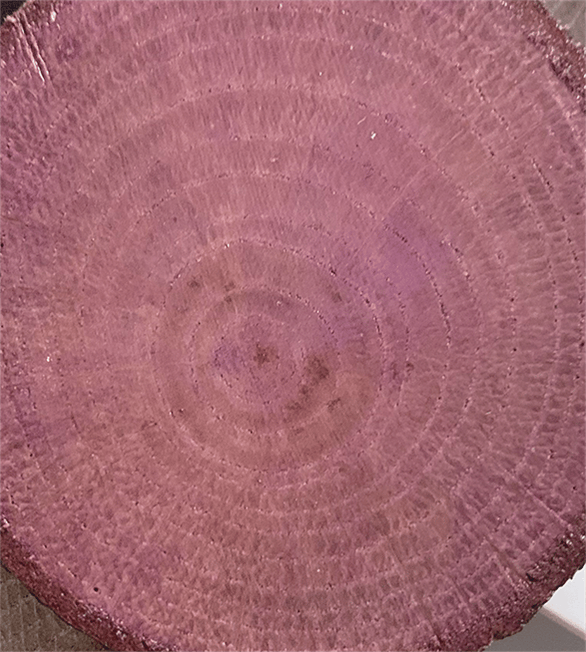 Лак Color On Color Cv-08 Фиолетовый 90мл