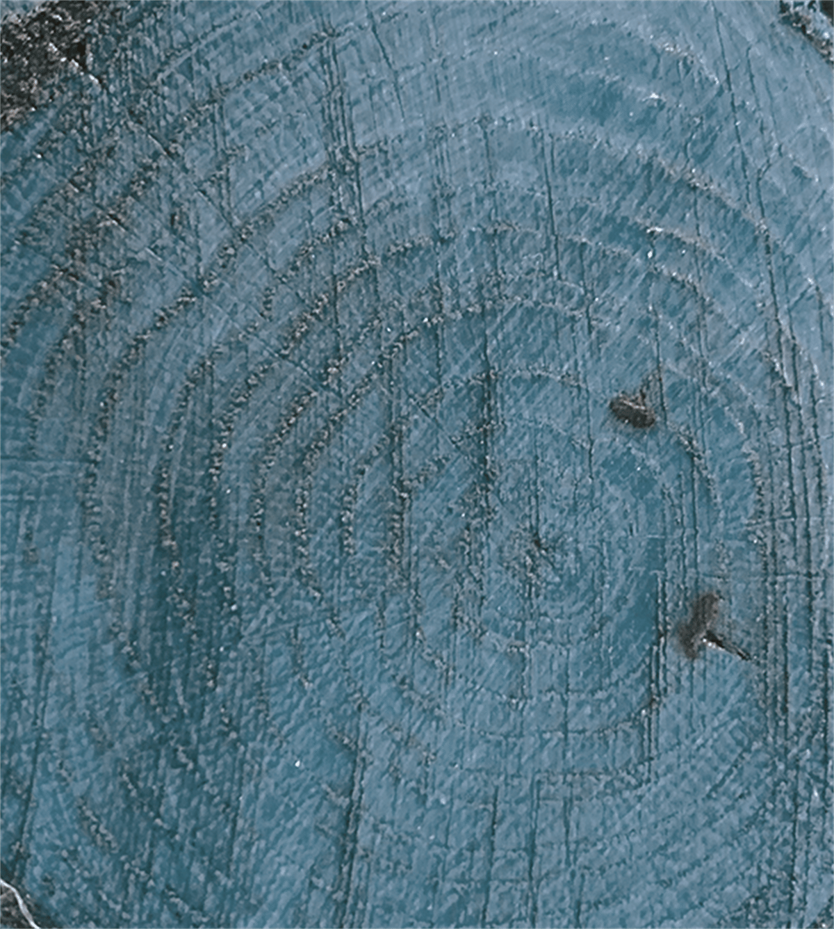 ورنيش ملون Cv-10 زيتوني 90 مل