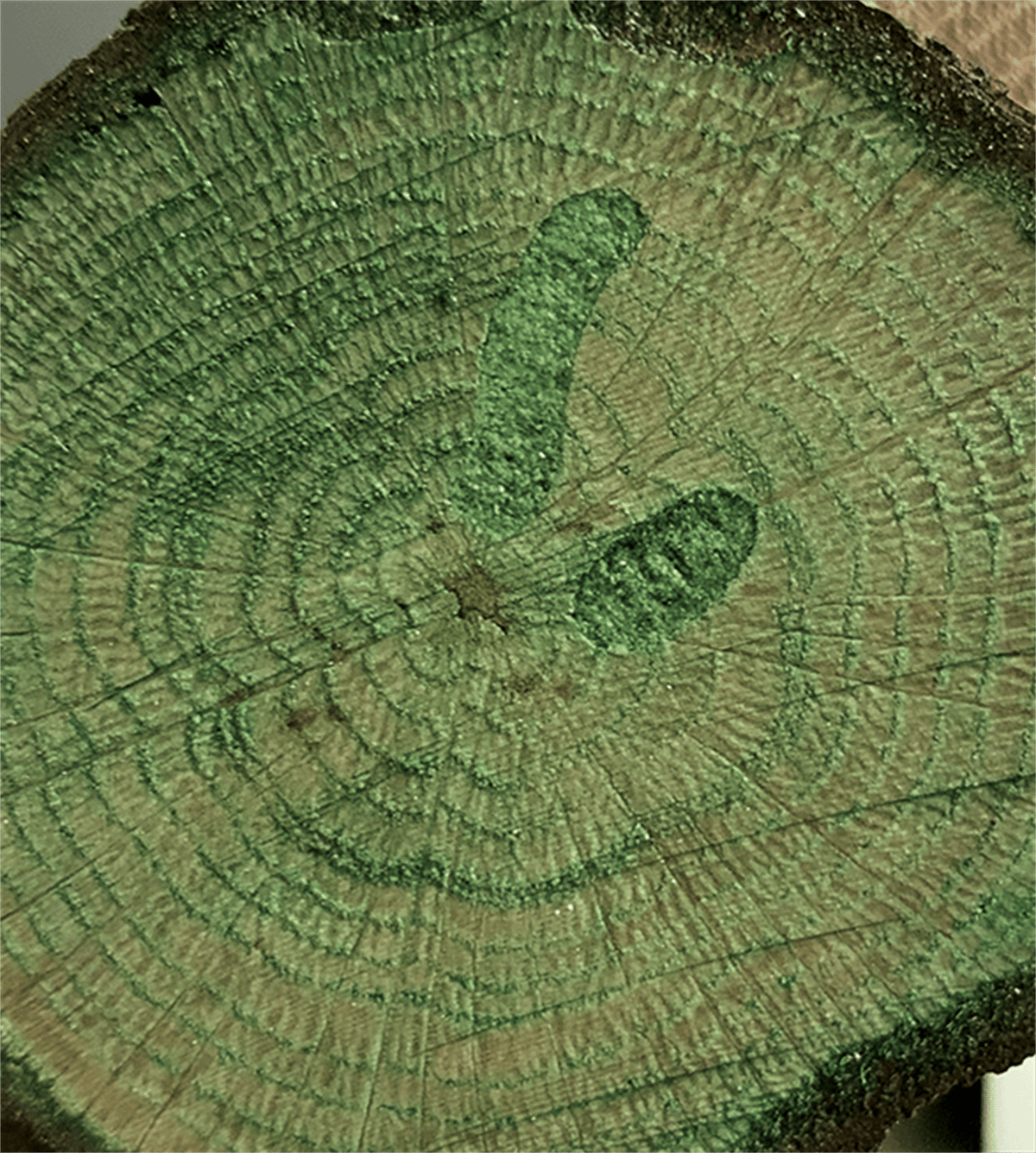 Лак Color On Color Cv-11 Зеленый 90мл