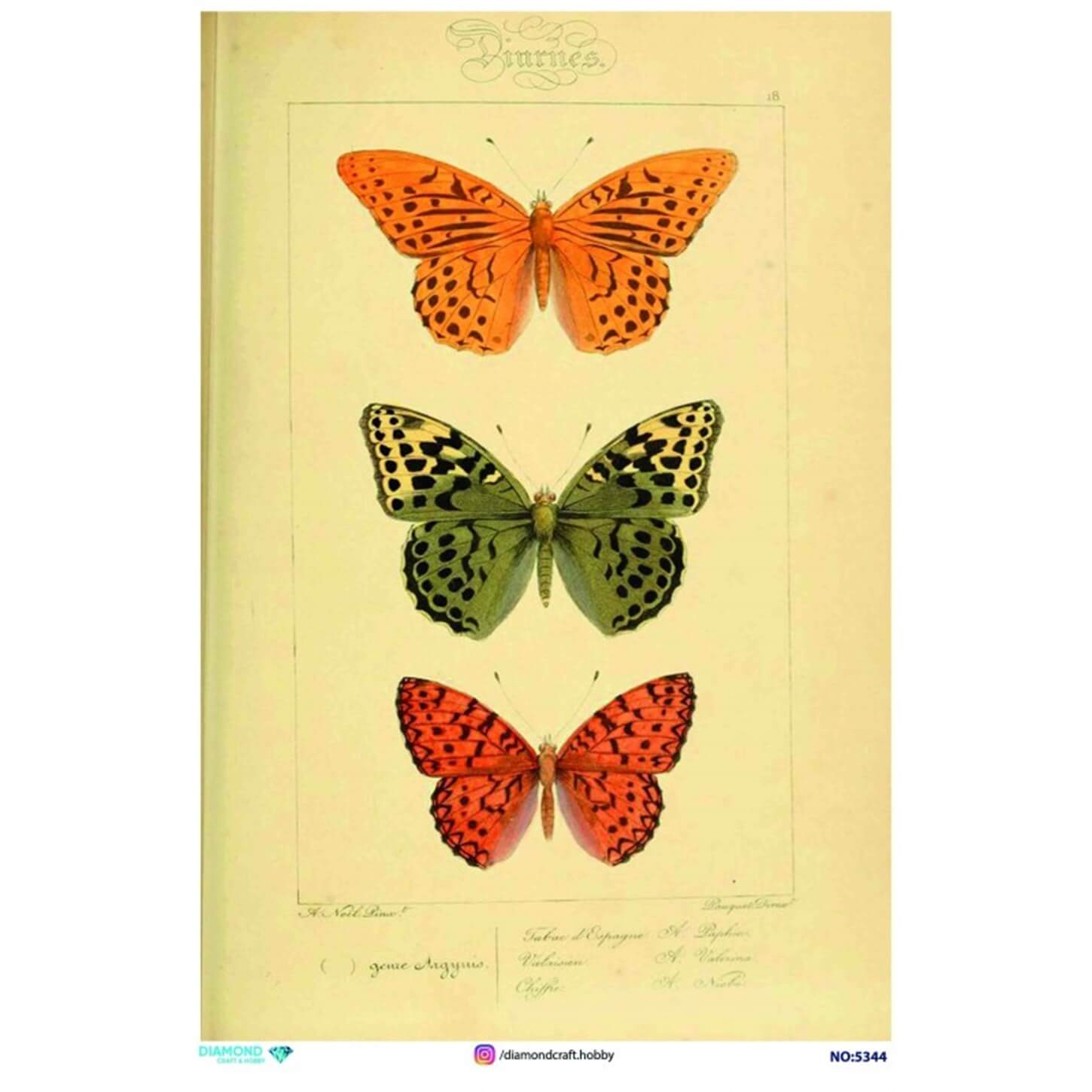 ديكوباج ورق الأرز الماسي 5344