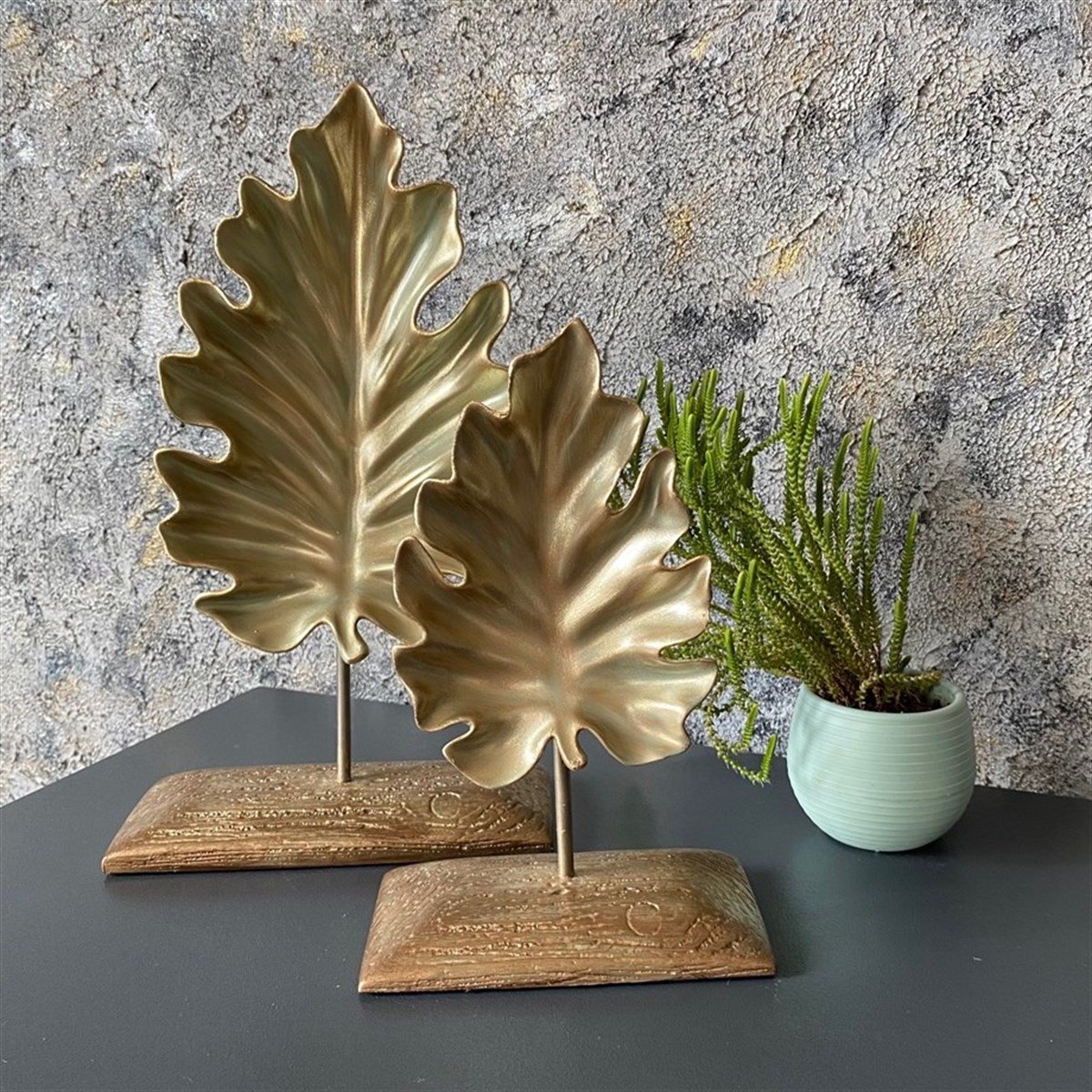 كائن ذو ورقة مزدوجة مع قاعدة