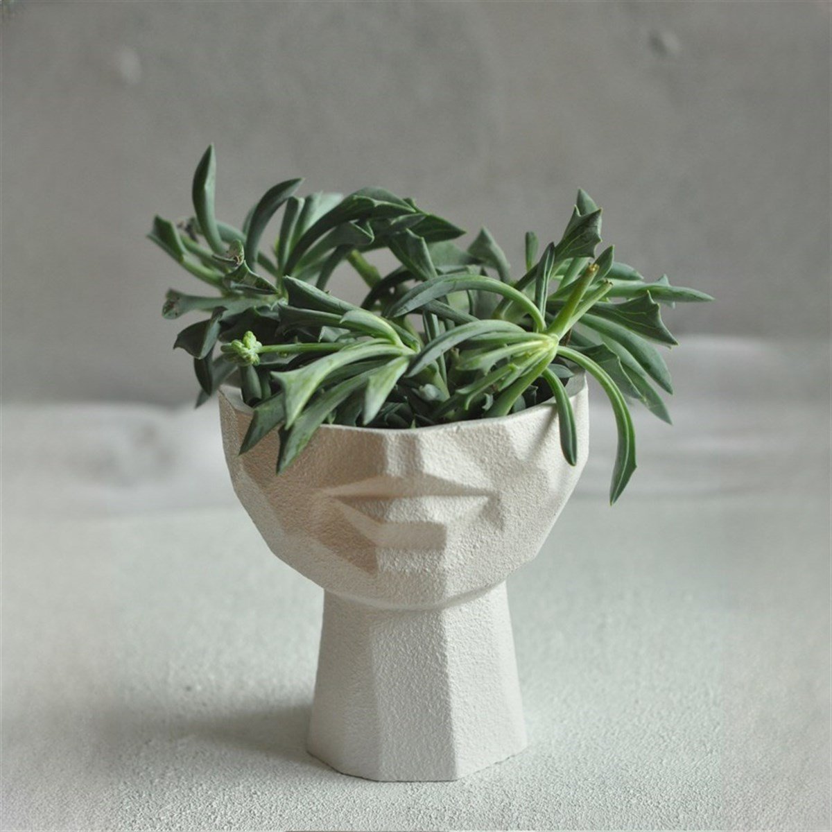 حافظة الشفاه زهور بيضاء S