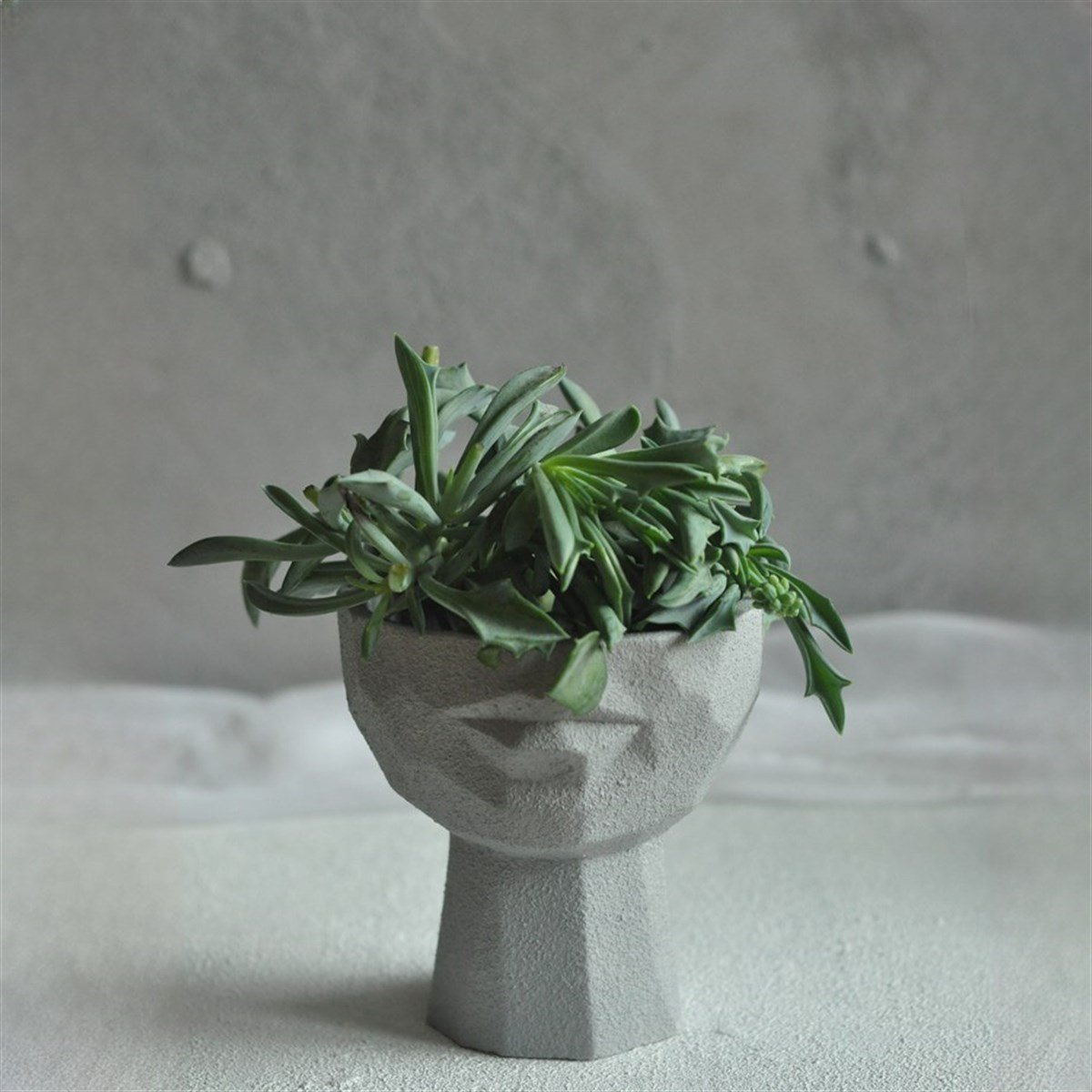 علبة الشفاه إناء للزهور رمادي S