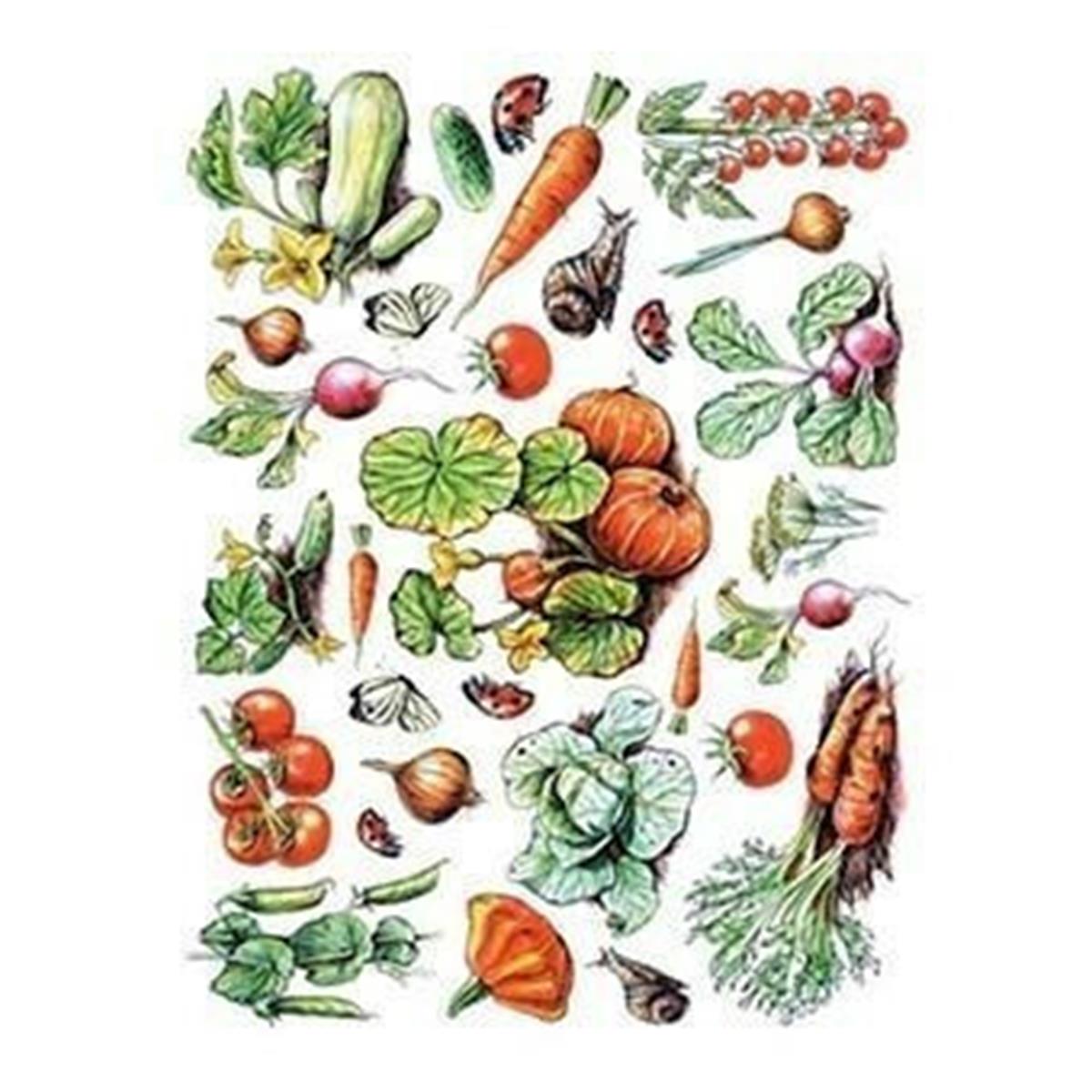 إيقاع ورق الأرز موديل 25 30x42