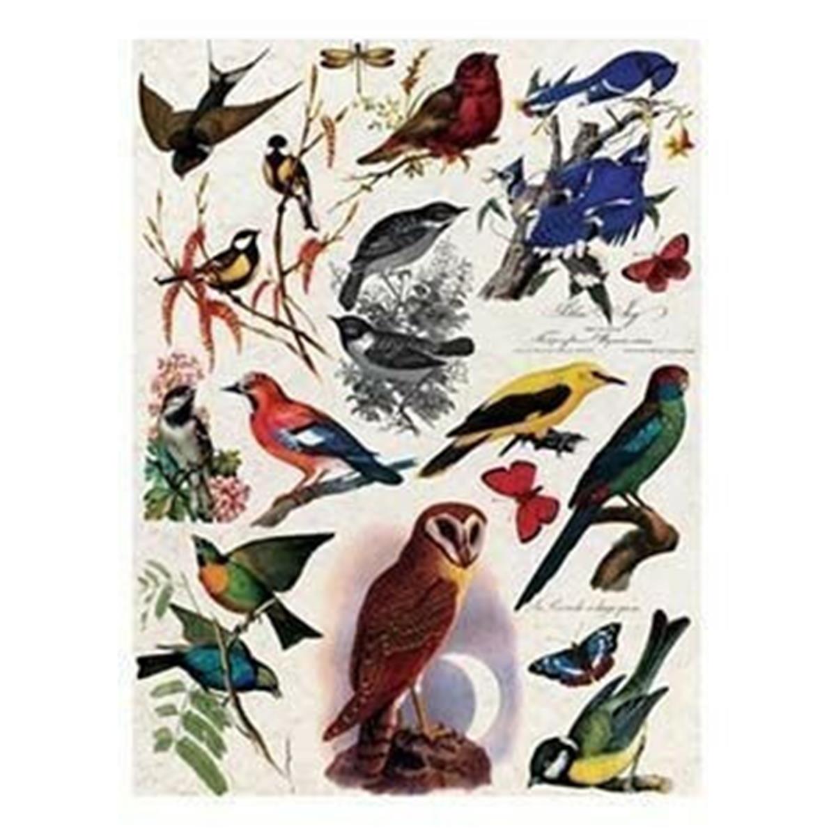 إيقاع ورق الأرز موديل 48 30x42