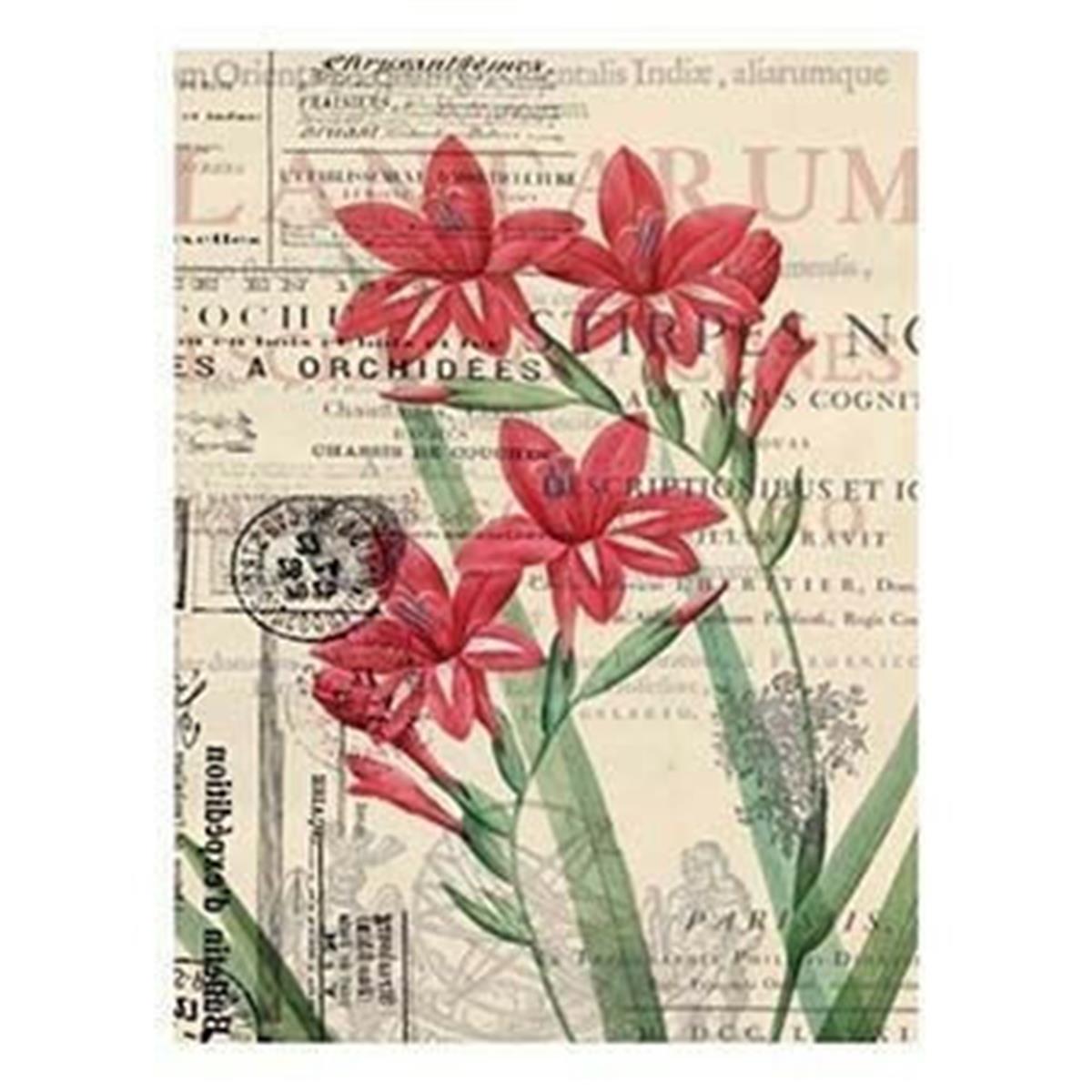 Рисовая бумага Cadence, модель 56, 30x42