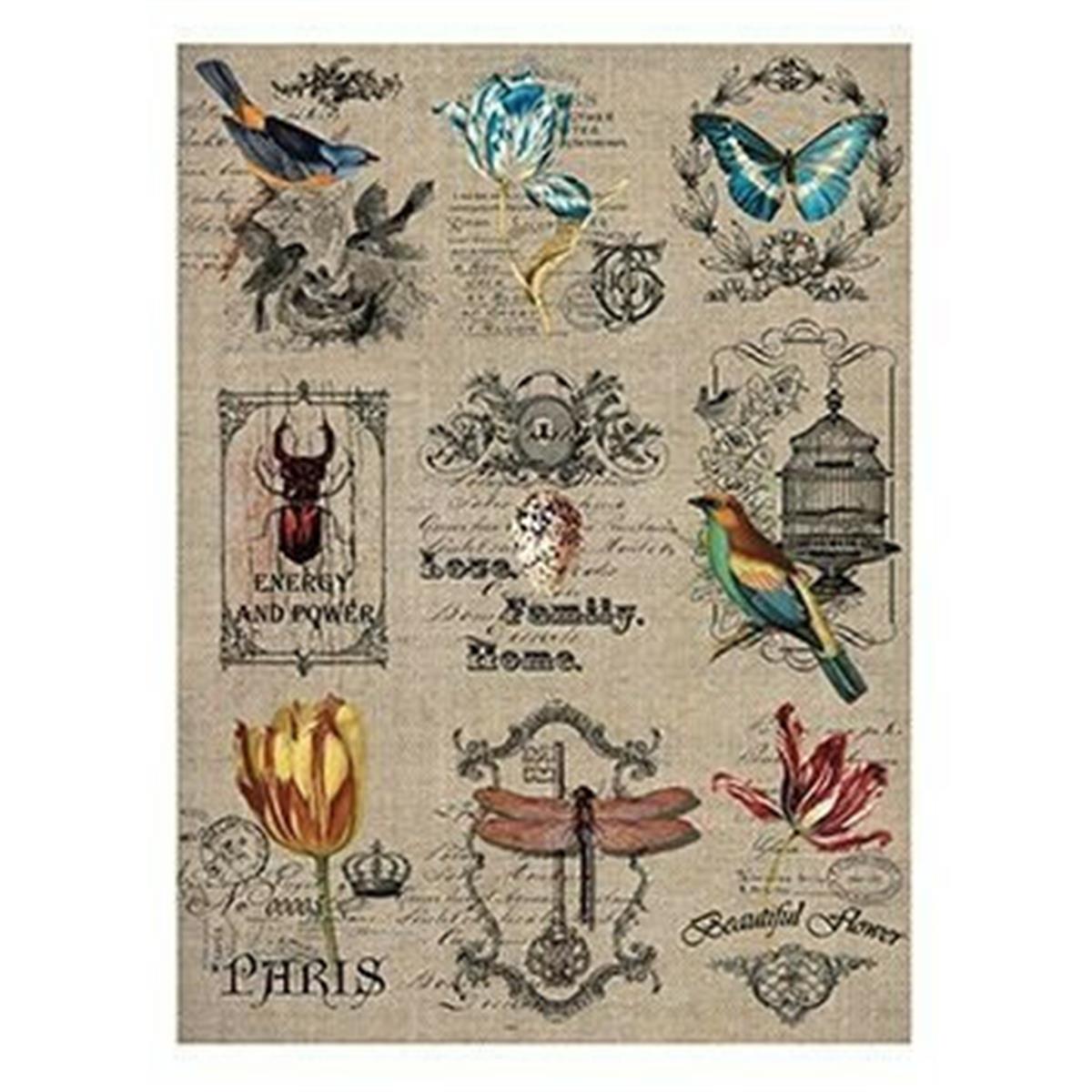 Модель 217 из рисовой бумаги Cadence 30x42