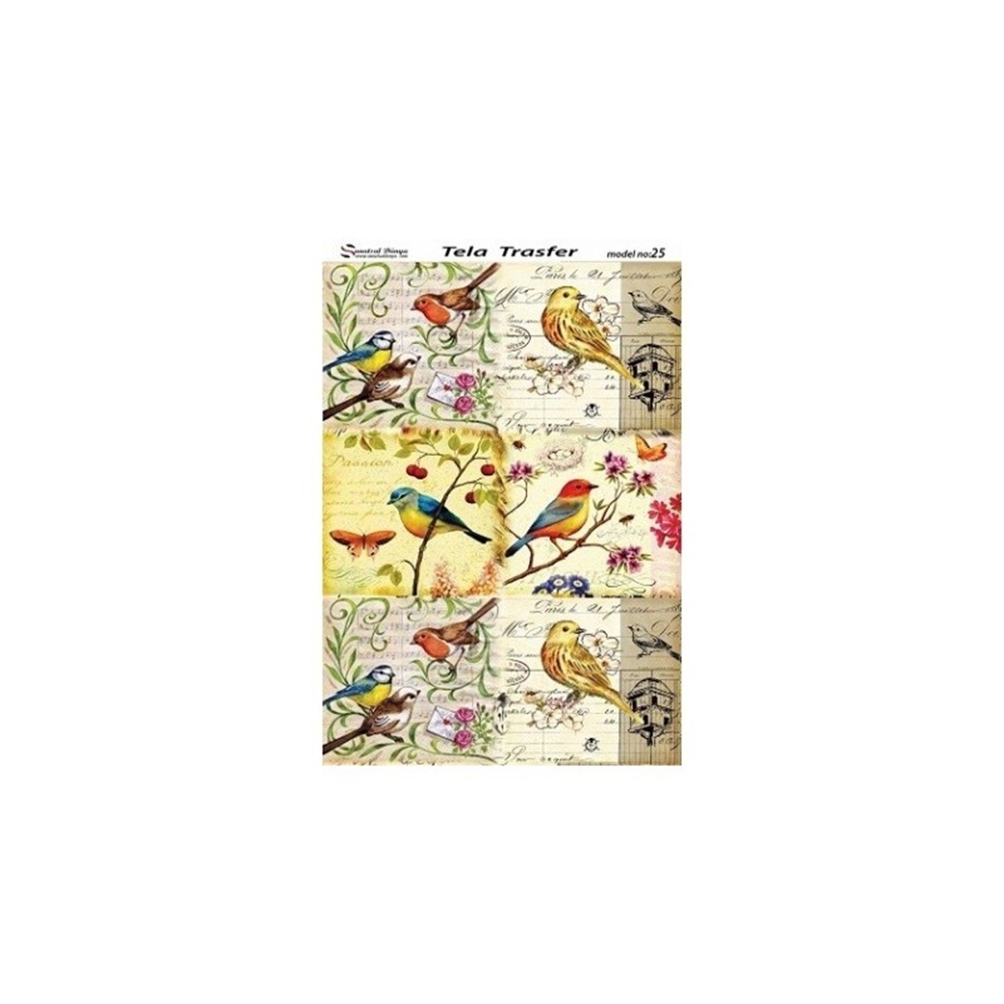 موديل 25 - تيلا ترانسفير 30x42