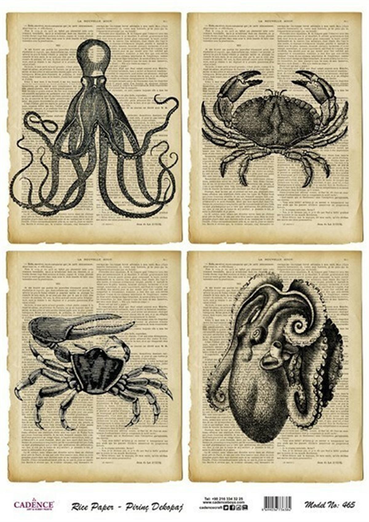 Рисовая бумага Cadence, модель 465, 30x42